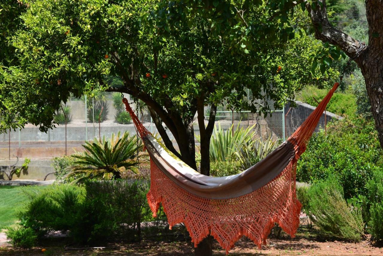 Quinta Villa Arrabida Vila Fresca Kültér fotó