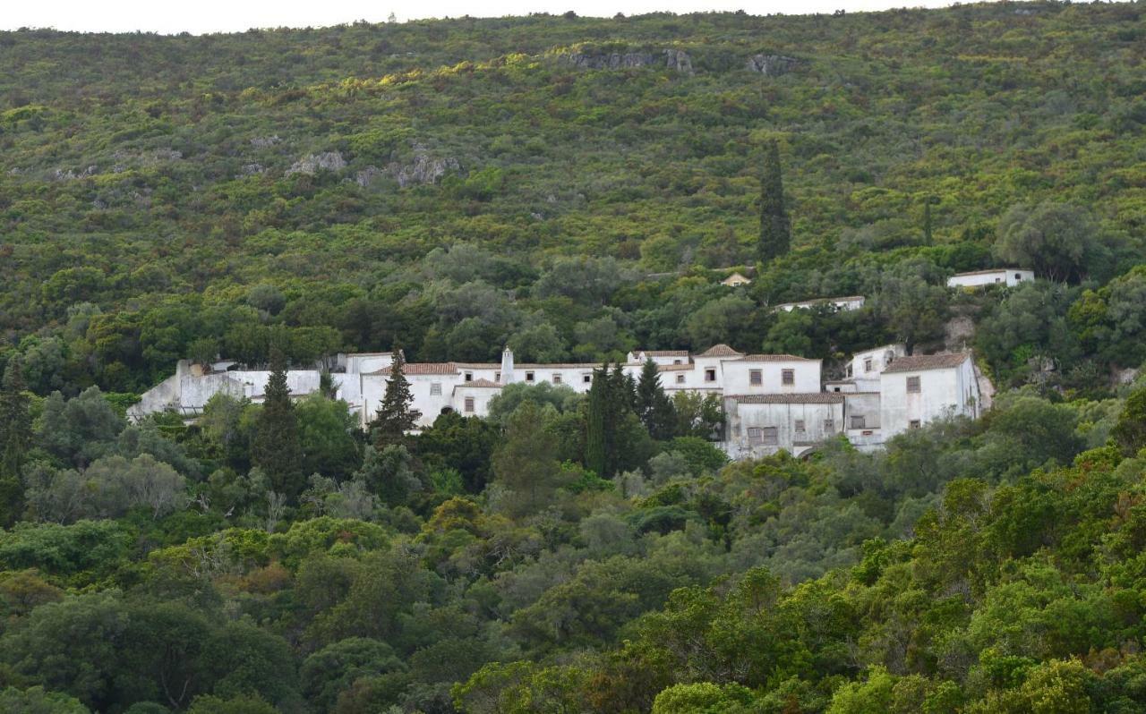 Quinta Villa Arrabida Vila Fresca Kültér fotó