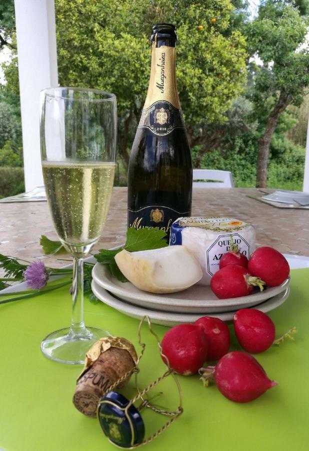 Quinta Villa Arrabida Vila Fresca Kültér fotó