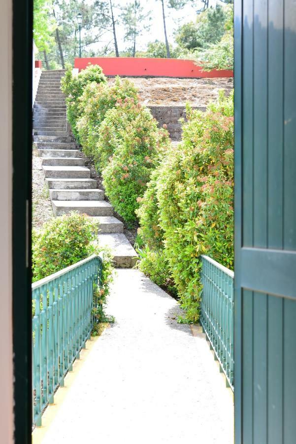 Quinta Villa Arrabida Vila Fresca Kültér fotó